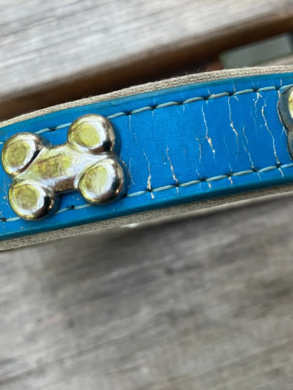 🐶💙 Blue Leather Studded Dog Collar | Silver Bone Studs | Thick Padded Collar |